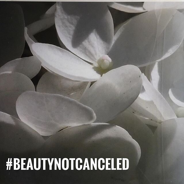 This is the perfect time to create and contribute something of beauty. I am trying to focus on simple moments of beauty that feed my soul each day and share those with others. I invite you to do the same. #beautynotcanceled Photography, like meditati