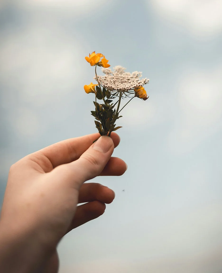 Can Your Skin Really Absorb What You Put On It?