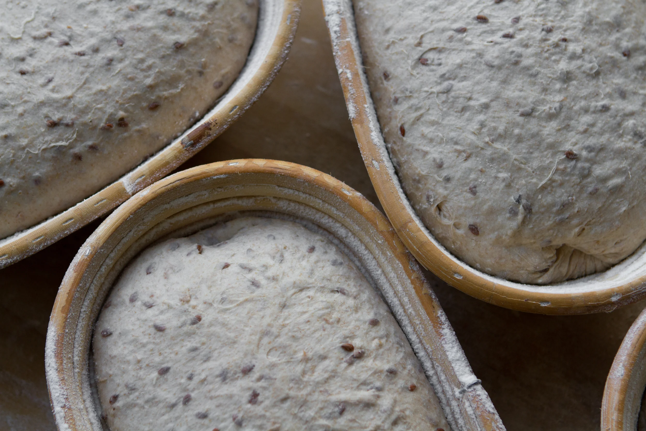 Whole Wheat, Grain and Seeded Bread