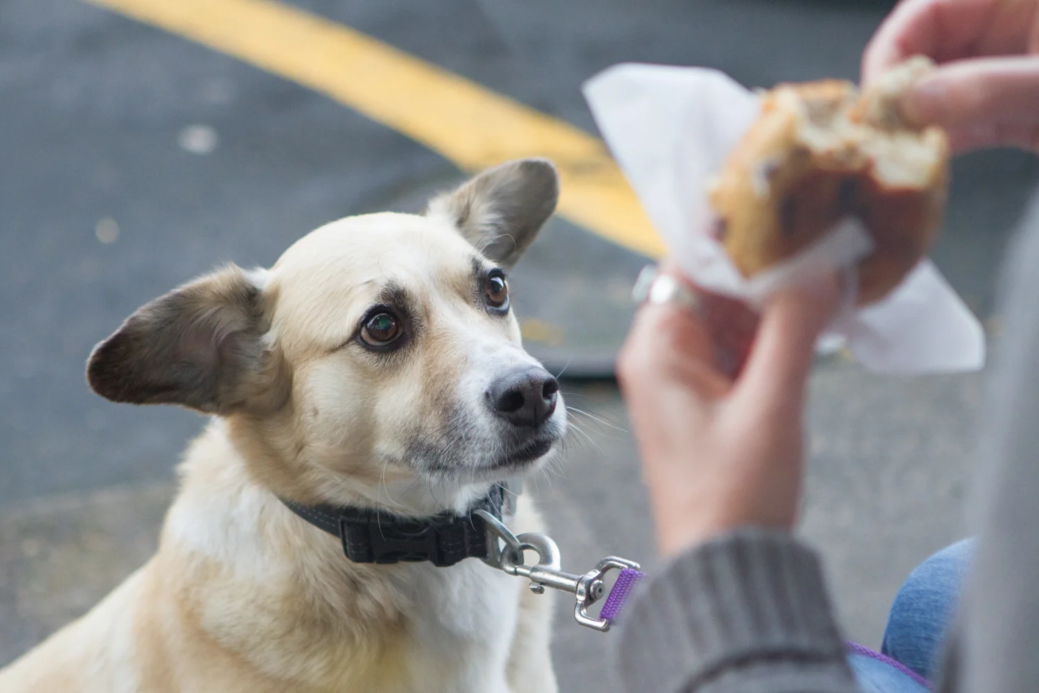 Baker and Spice - EasterPurim 2 --00617.jpg