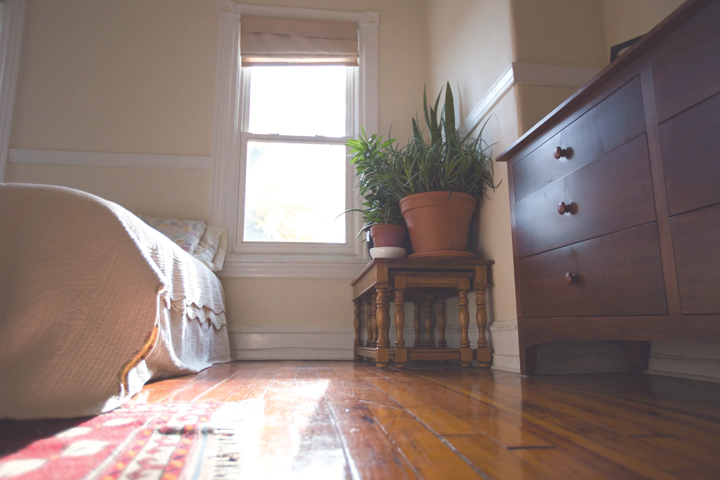 The light-filled, West Philadelphia bedroom of Ayse Unver.