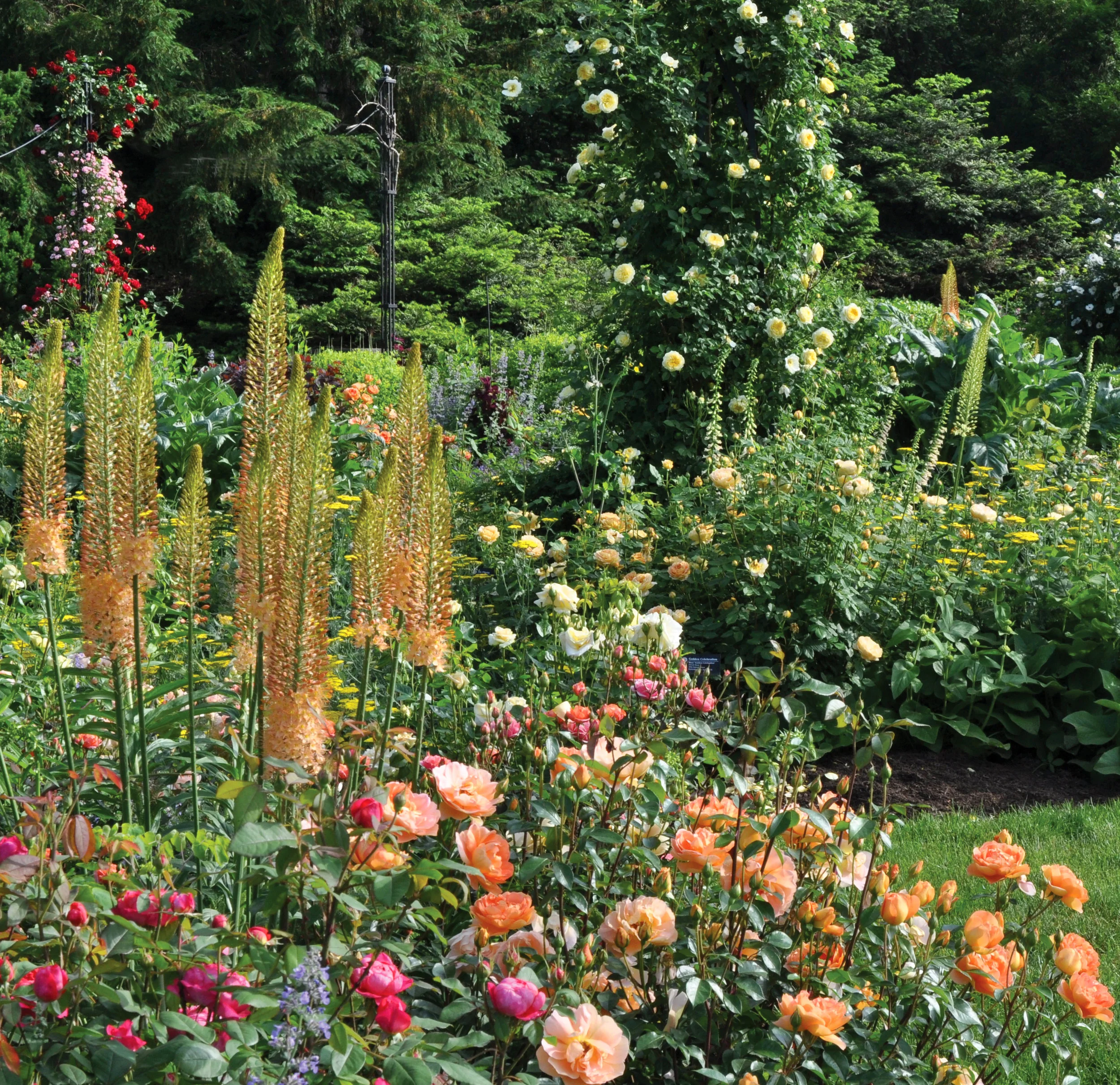 Morris Arboretum PM DSC_3831 edited.jpg