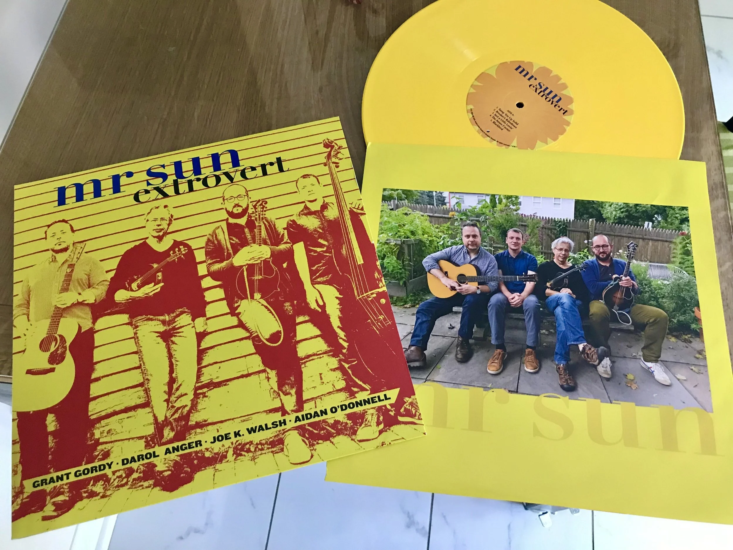 MrSUnVinyl_.JPG