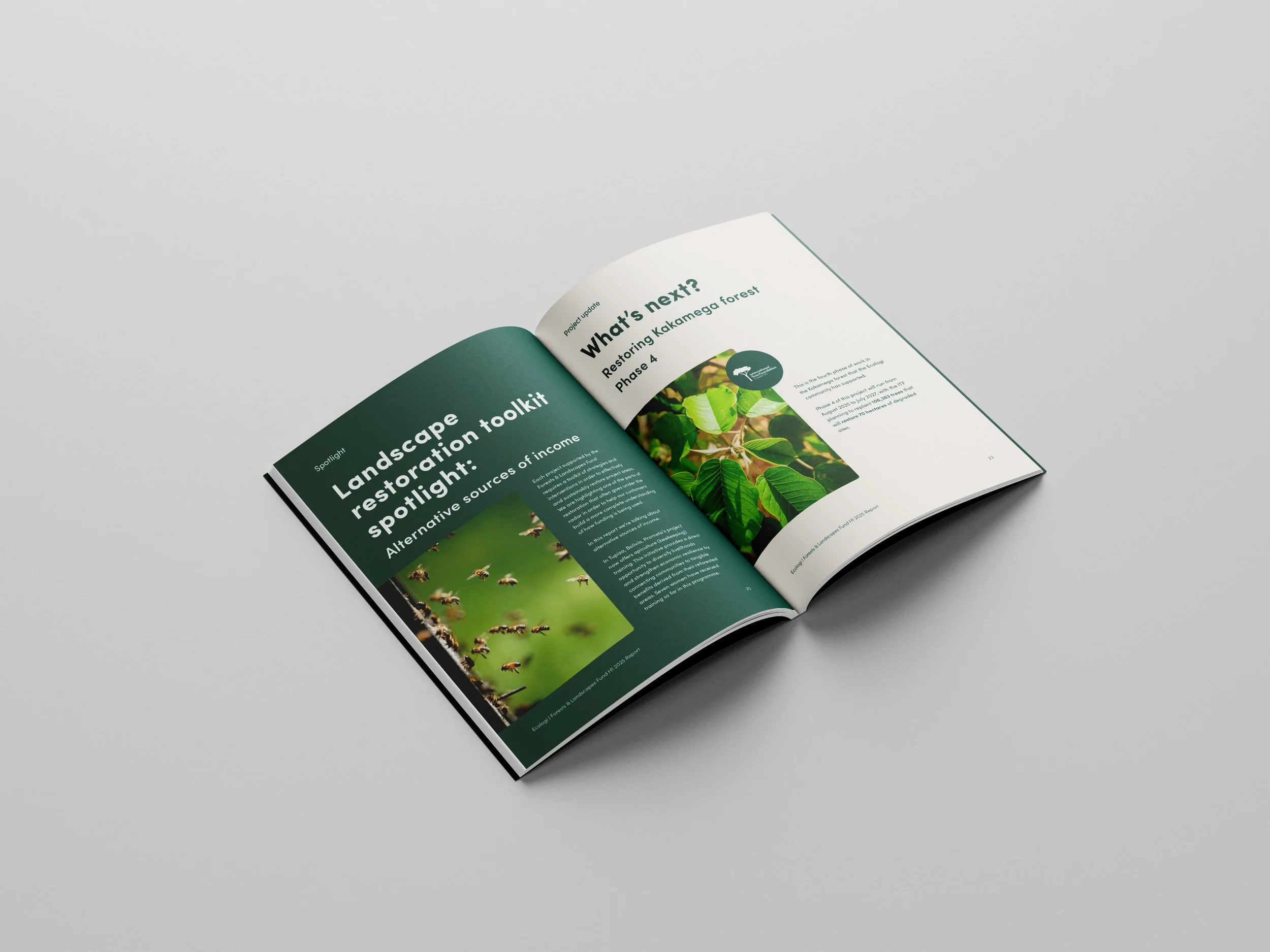 Front_Spread2_Fund_Forest&Landscape.jpg