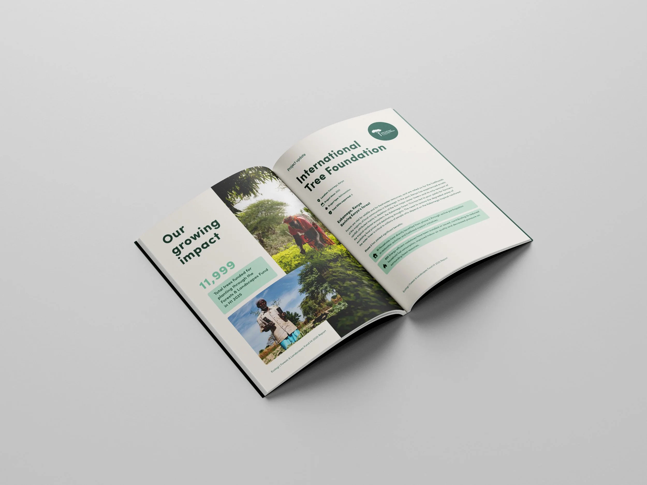 Front_Spread1_Fund_Forest&Landscape copy.jpg