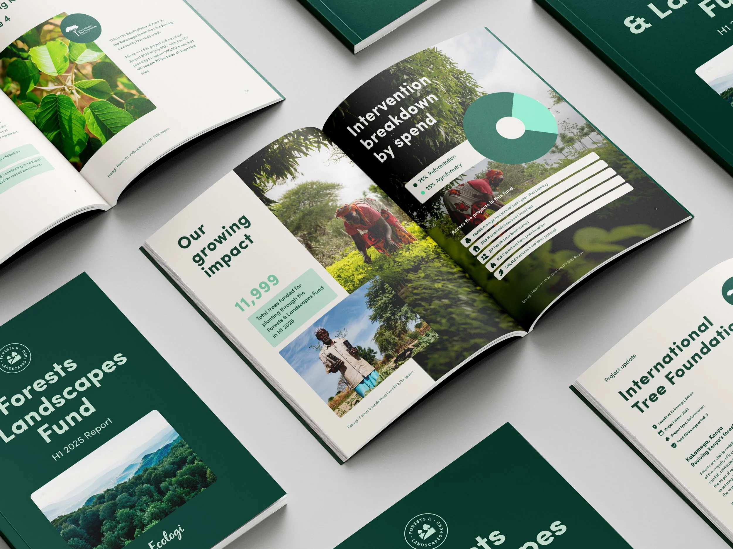 Front_Isometric_Pages_Fund_Forest&Landscape.jpg