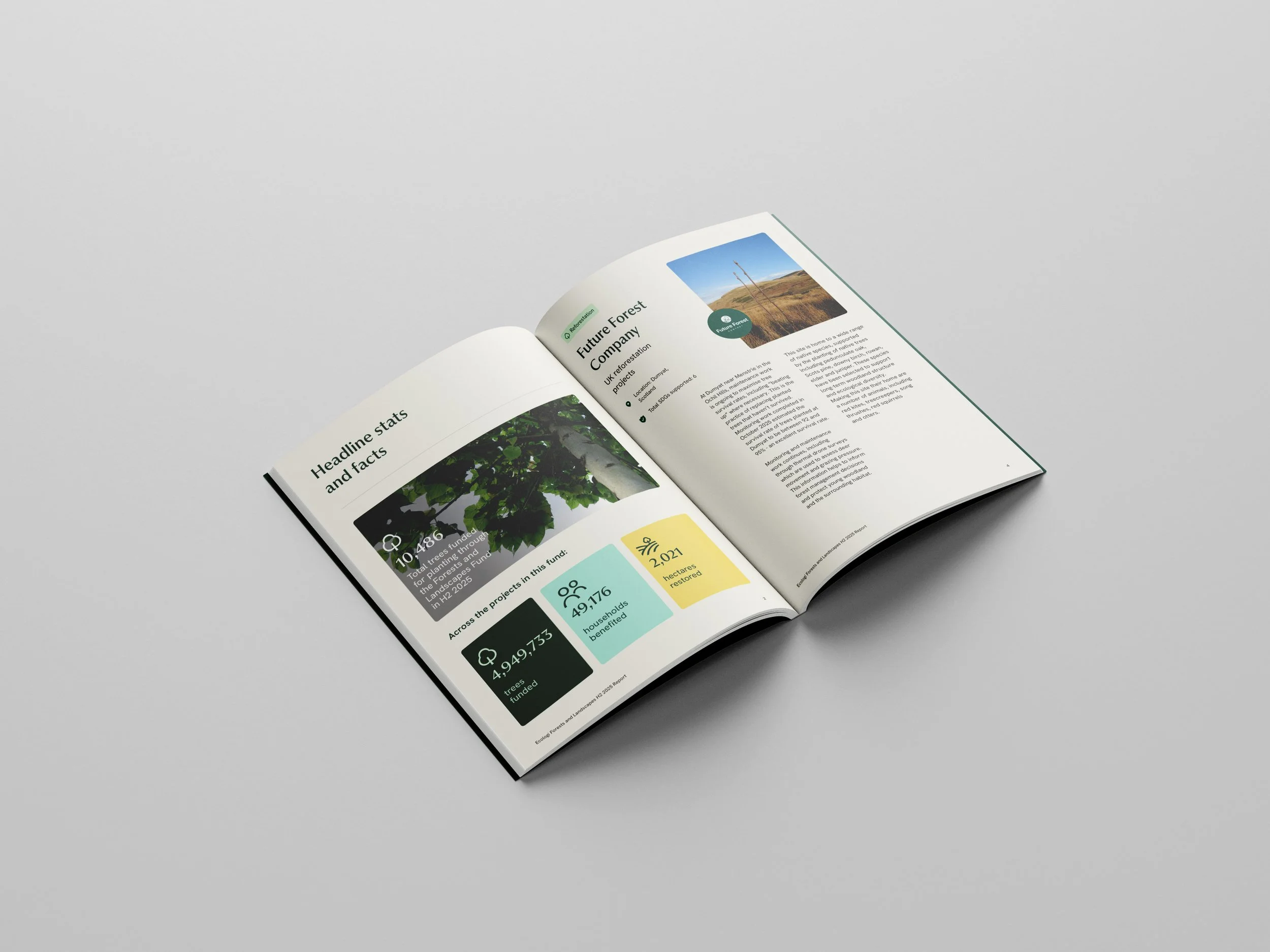 Front_Spread1_Fund_Forest&Landscape_2025_Rebrand.jpg