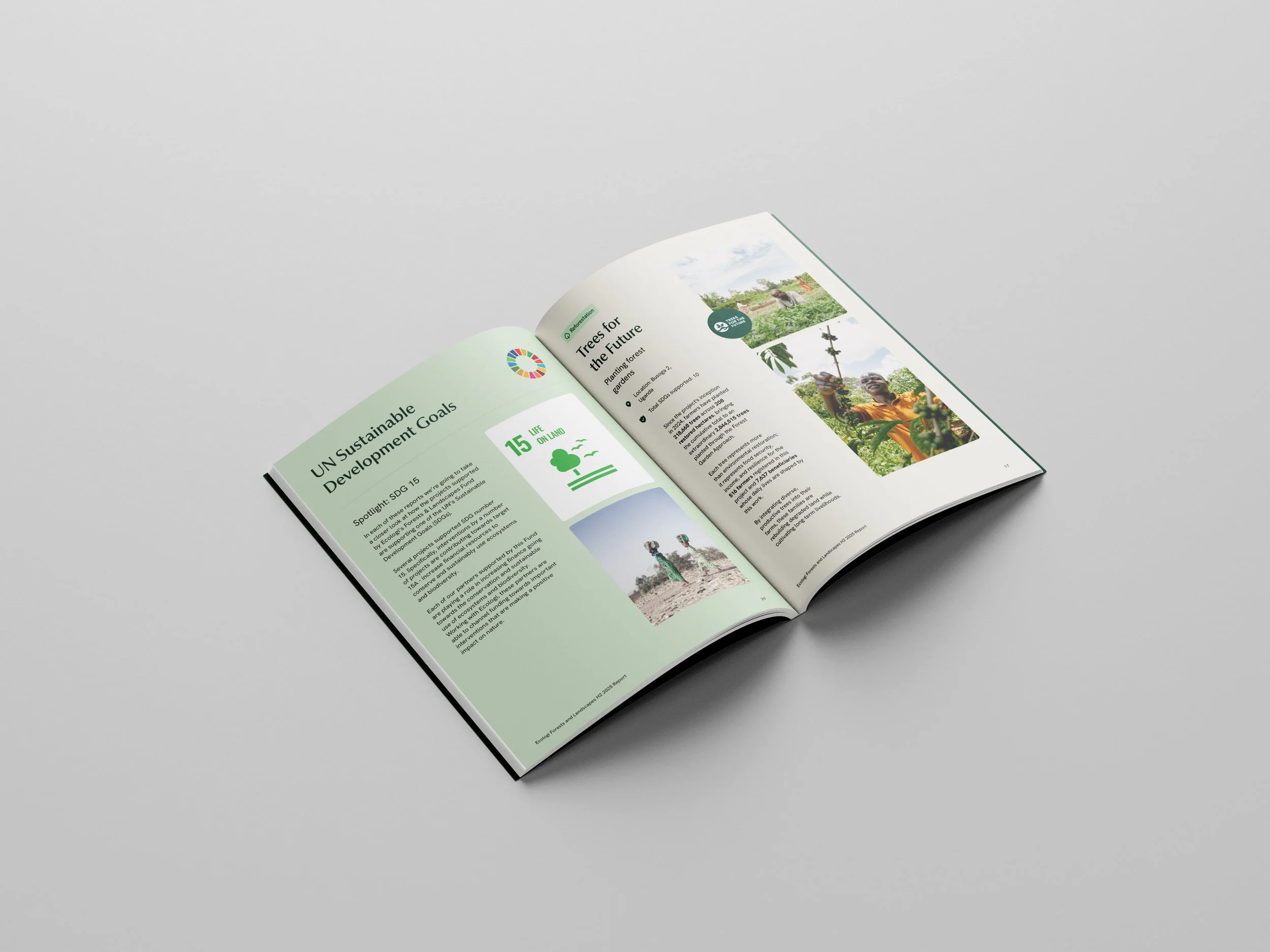 Front_Spread2_Fund_Forest&Landscape_2025_Rebrand.jpg