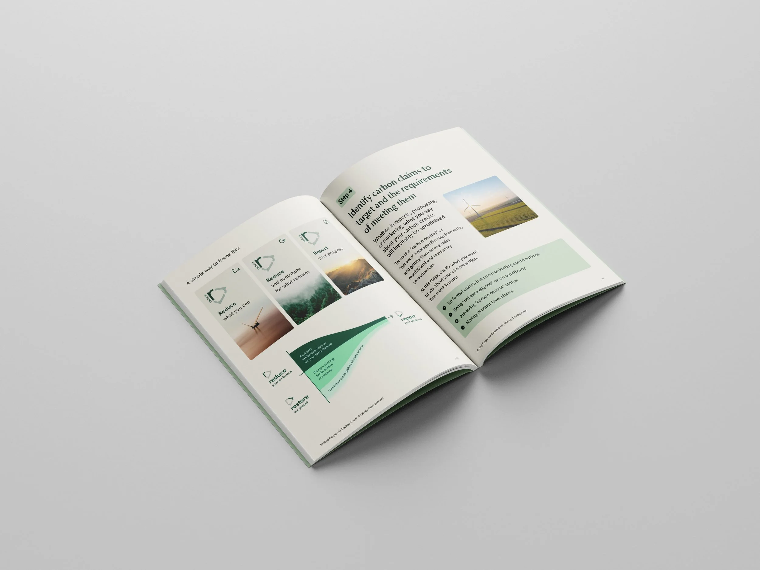 Front_Spread2_CC_Strategy_DocAd.jpg