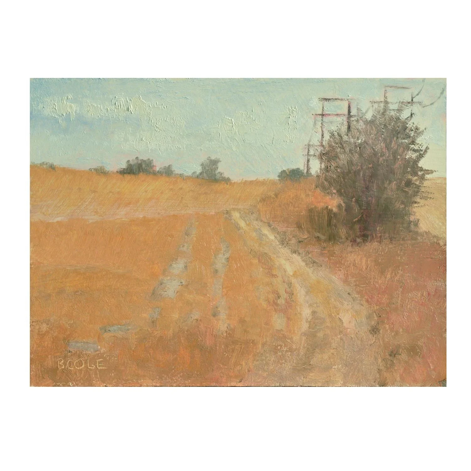 Tracks-Container.jpg