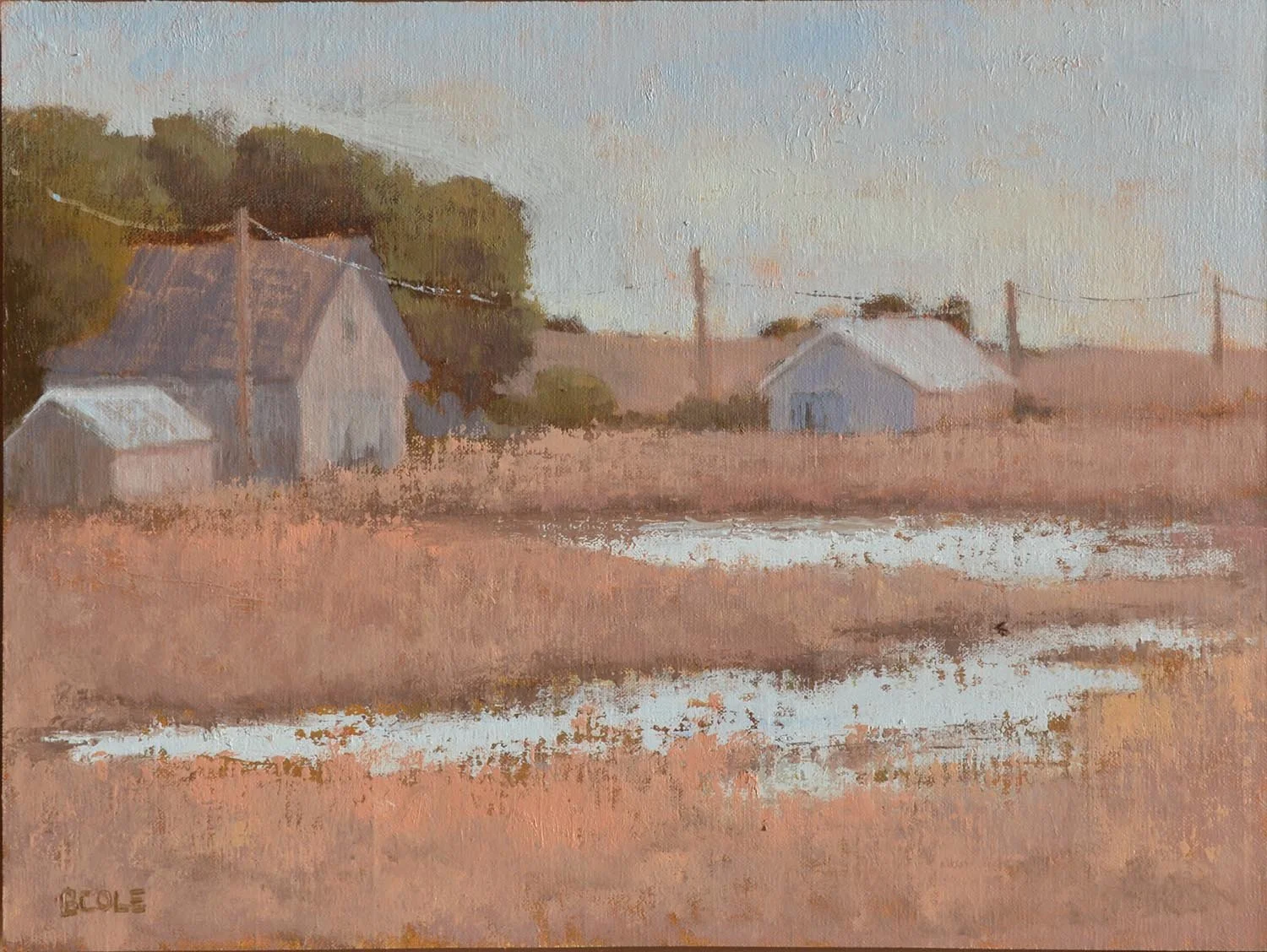 FloodedFarm2-12x16.jpg