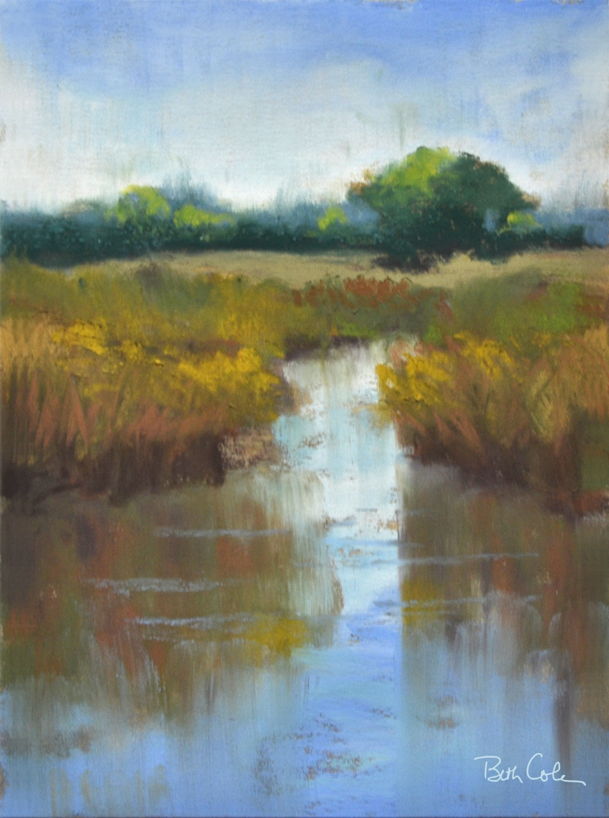Still Waters Run Deep © Beth Cole 