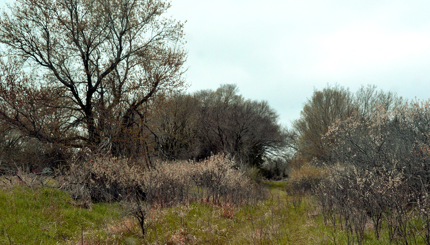 Custer County ©Beth Cole
