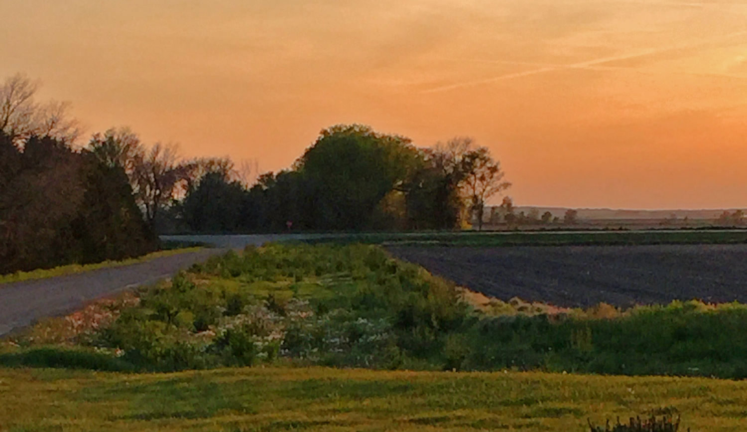 Looking west