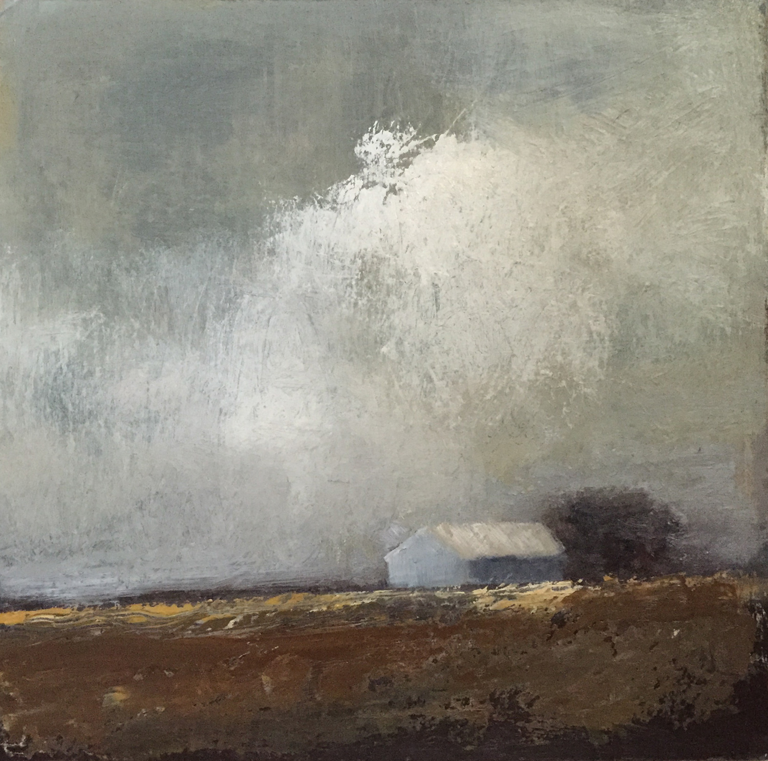 Earthy Gray - oil on Wood Panel - 12 x 12 © Beth cole