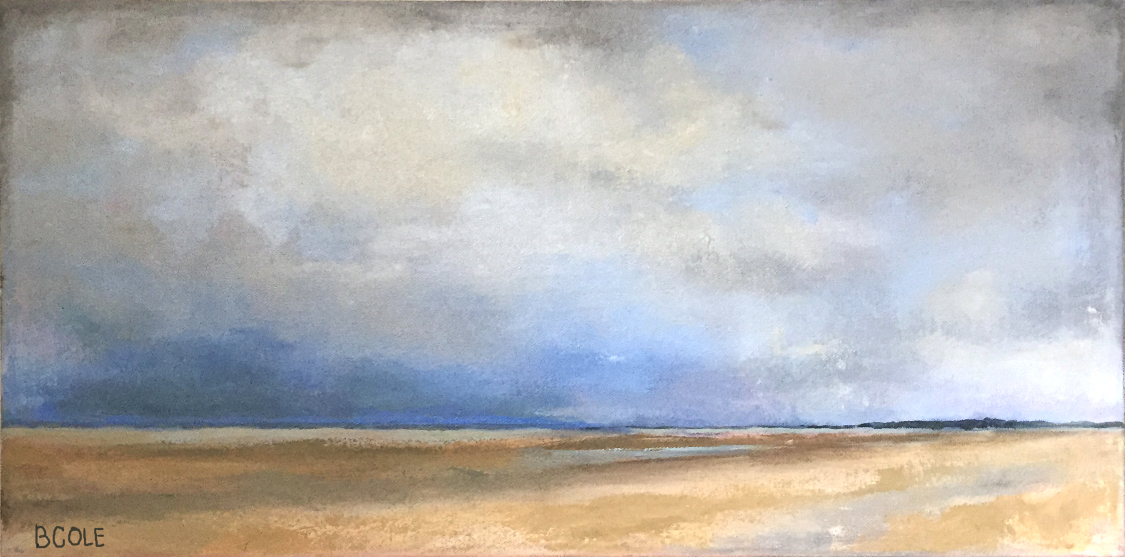 Untitled, ©Beth Cole - Oil on Canvas - 12 x 24