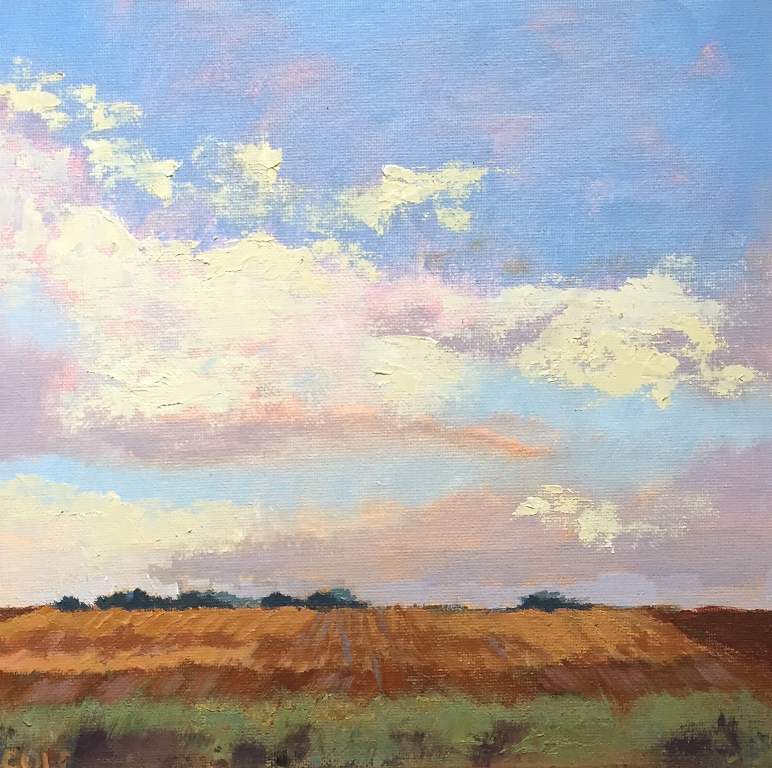 Prairie Sky © Beth Cole | 10 x 10 | Oil on Canvas Panel