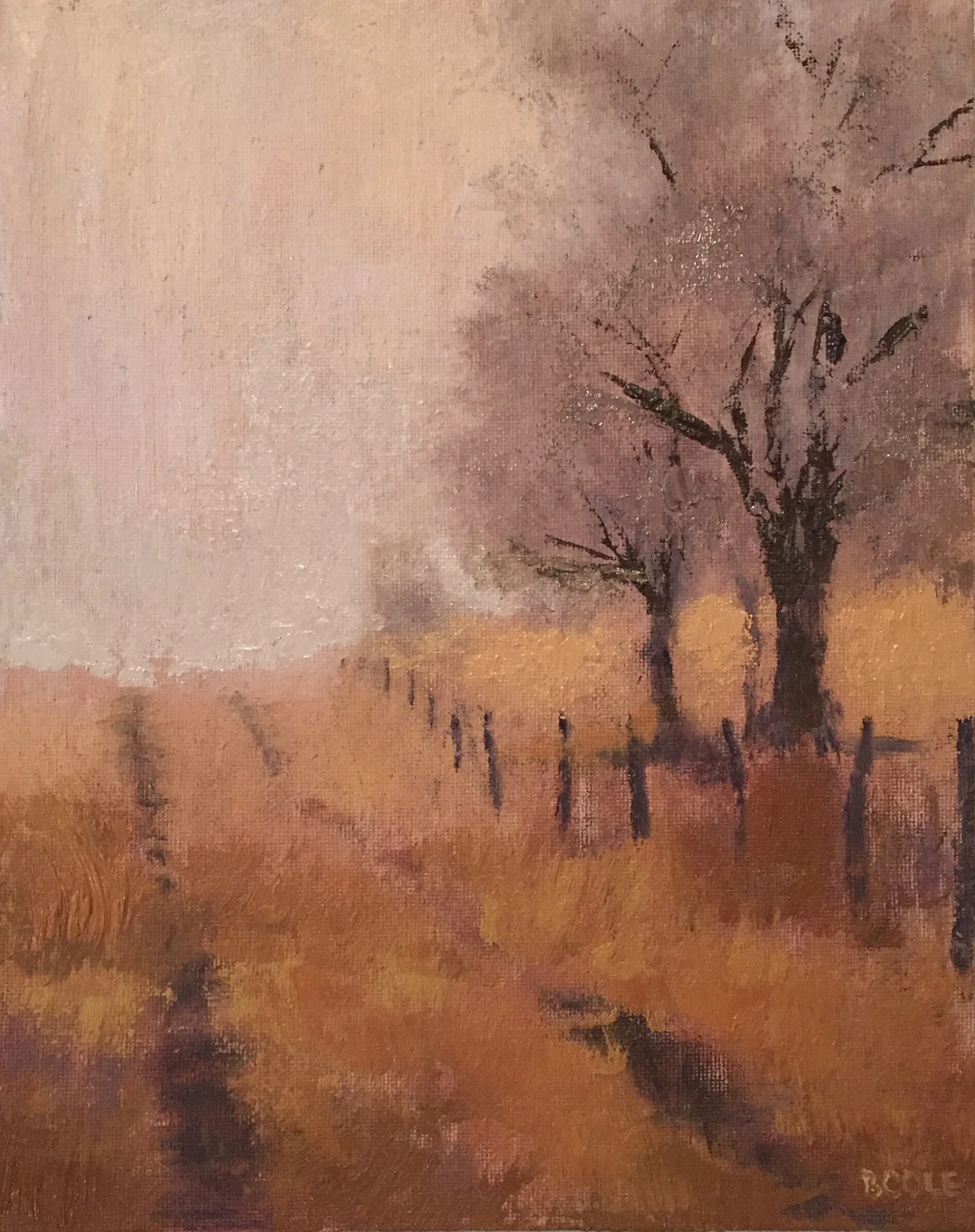Dry Creek | 8 x 10 | Oil on Canvas | ©Beth Cole