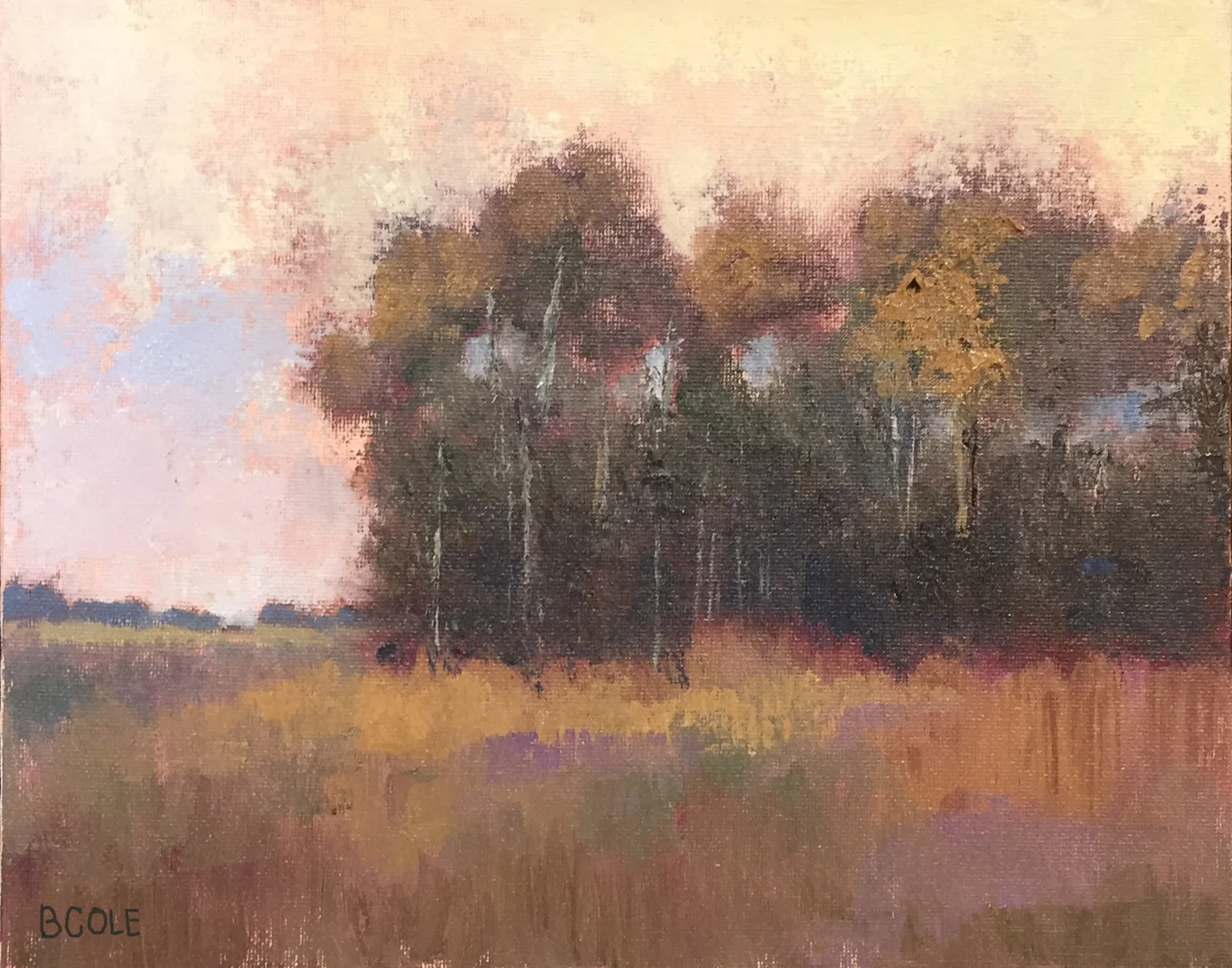 Art Camp Recap