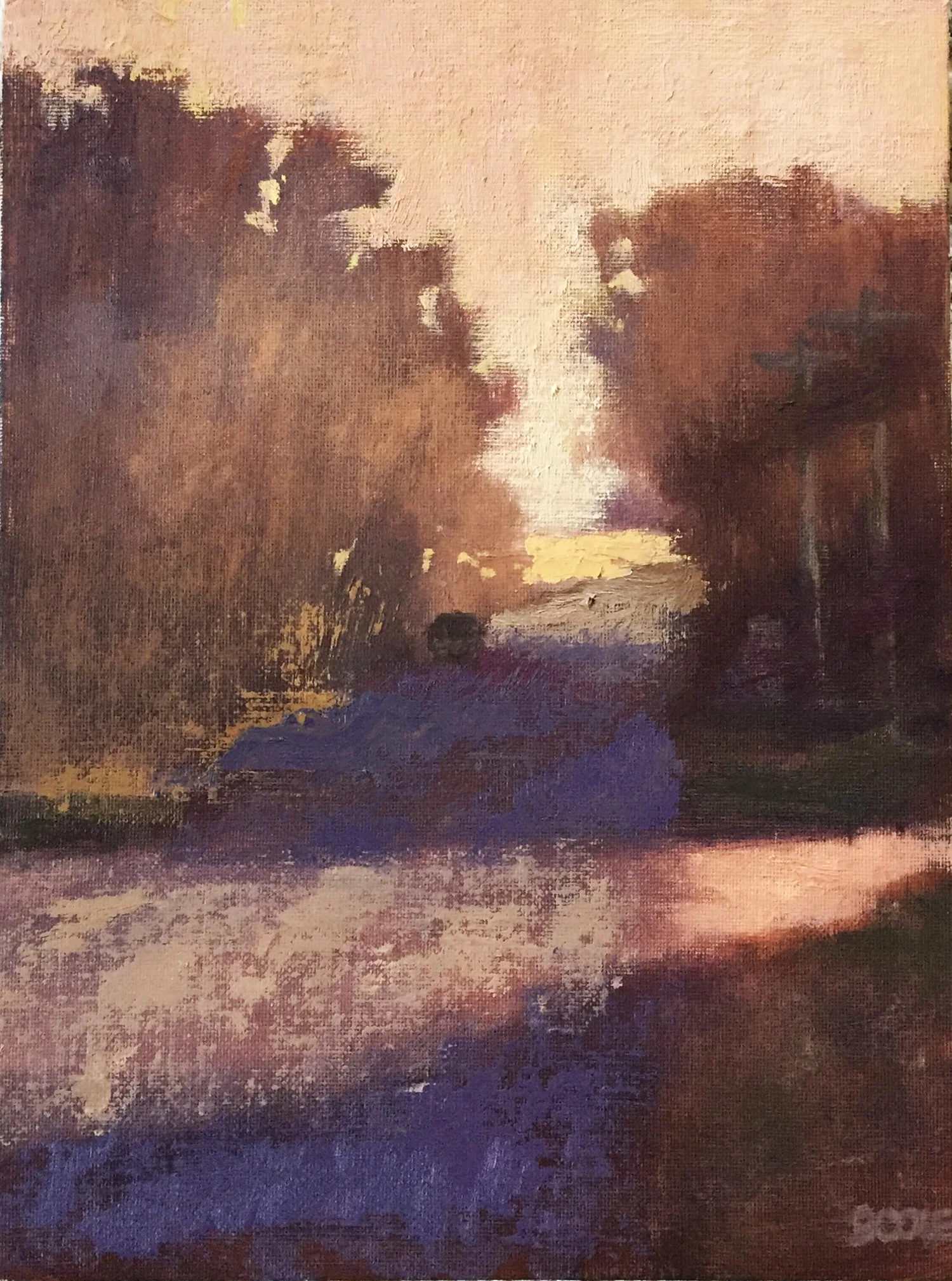 Light and Shadows © Beth Cole