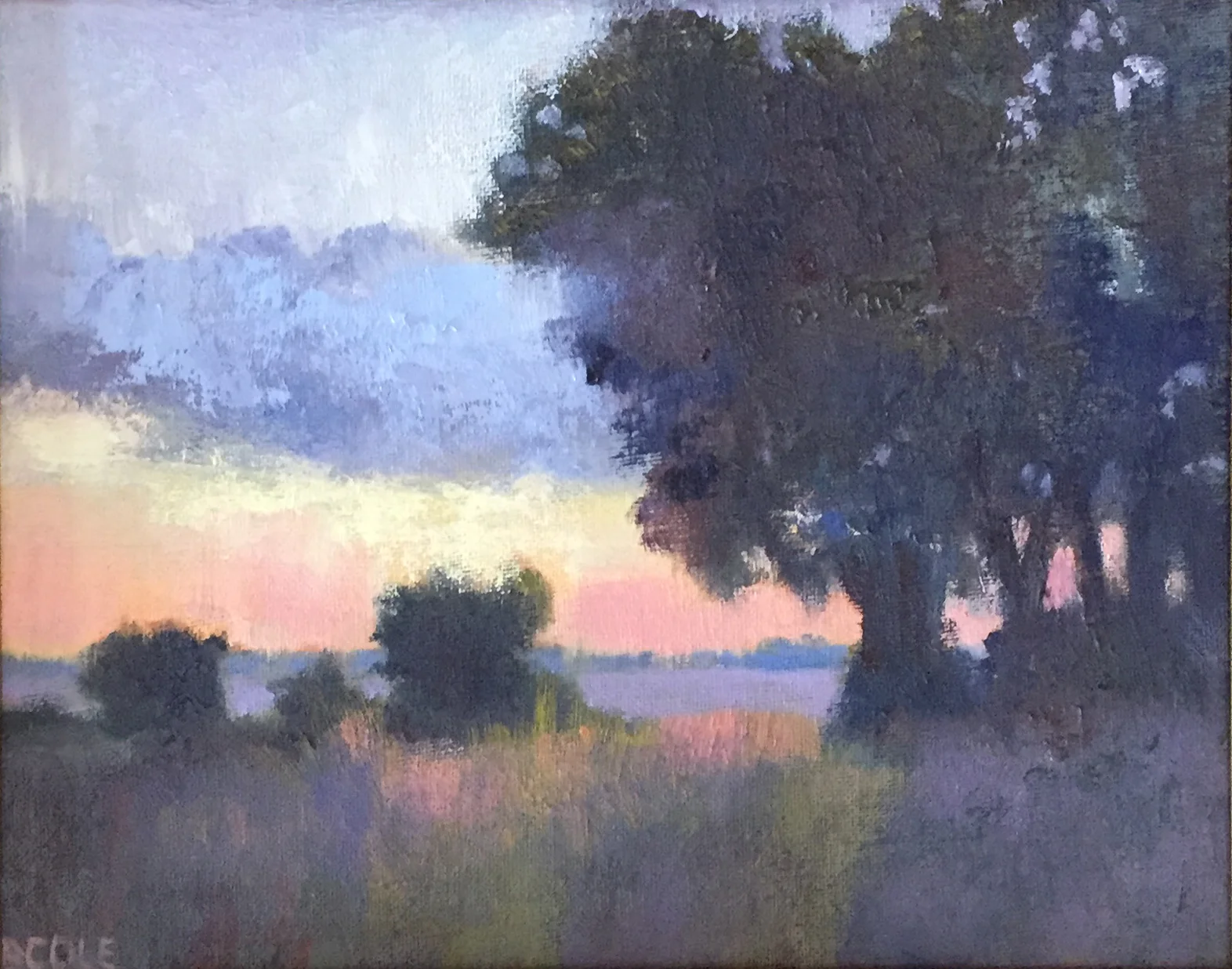 Dawn | ©Beth Cole | SOLD