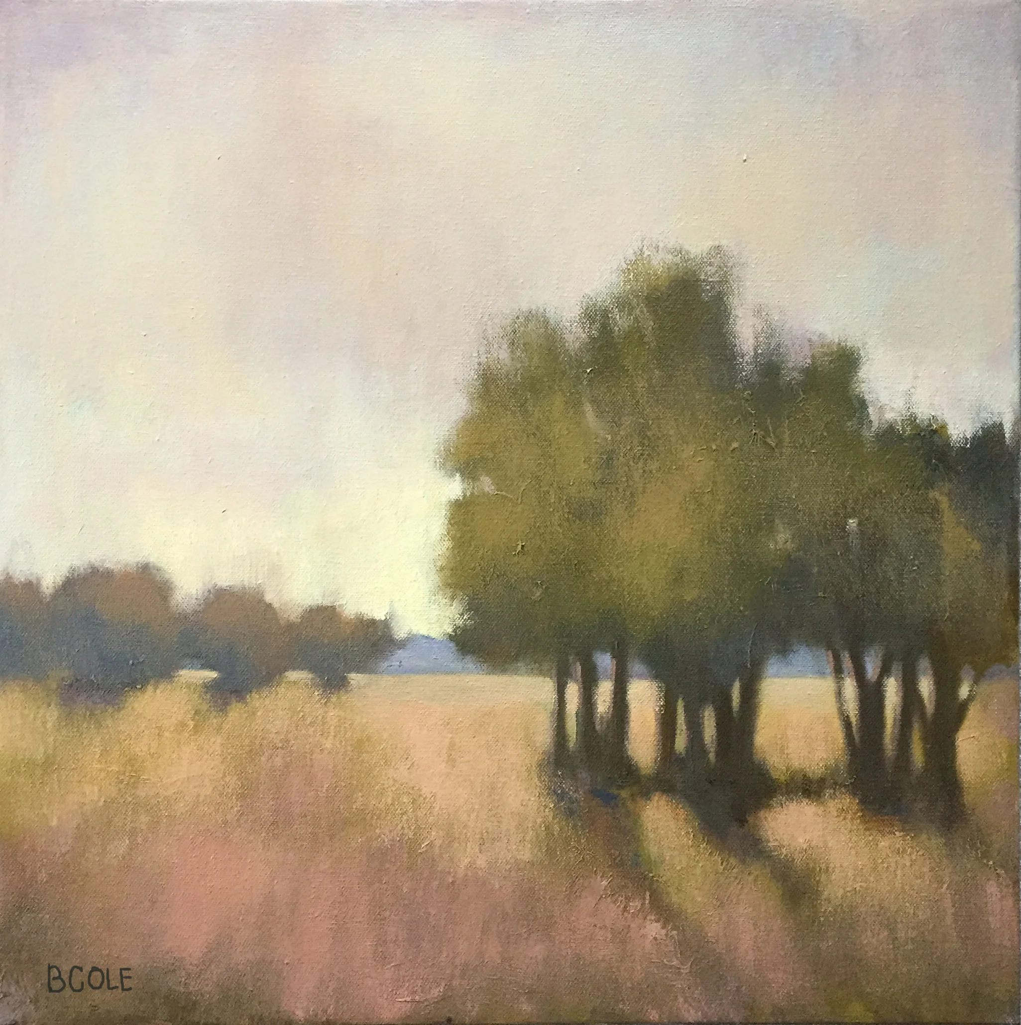 Light Beyond - 18 x 18 - Oil on Canvas