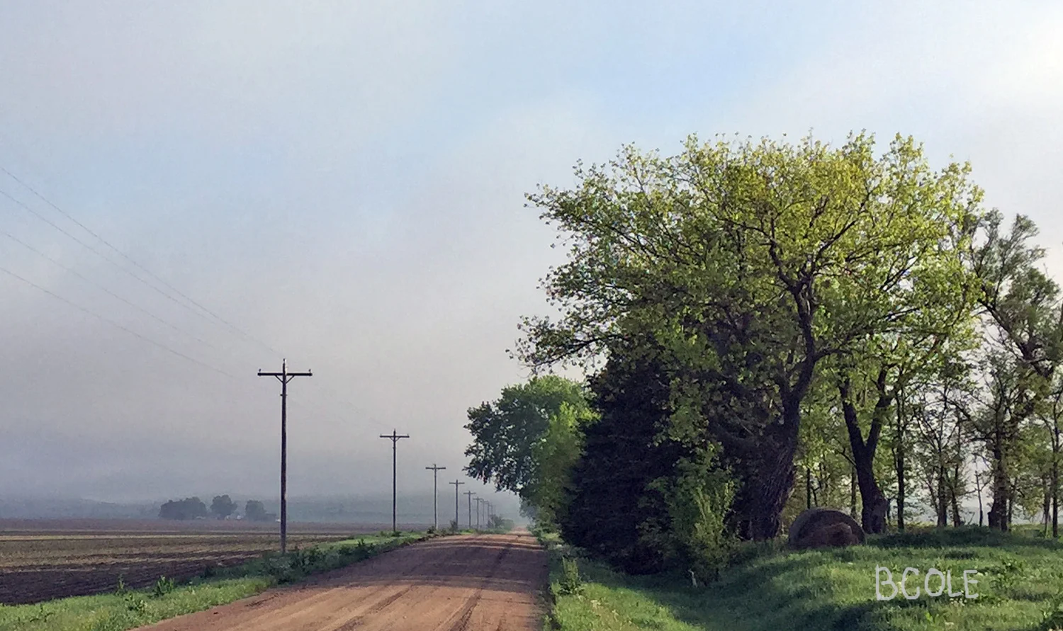 Morning Walk Photo ©Beth Cole