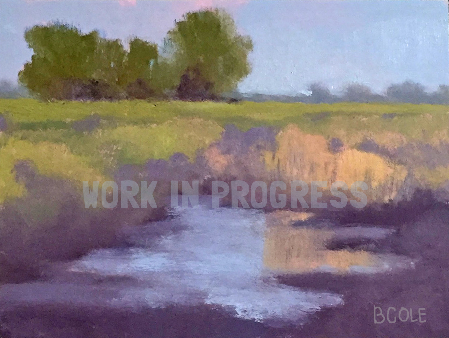 Work In Progress © Beth Cole