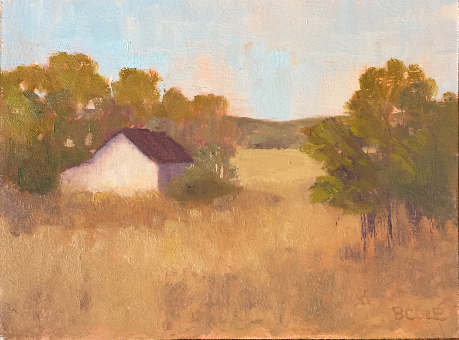 Color Study 1 © Beth Cole