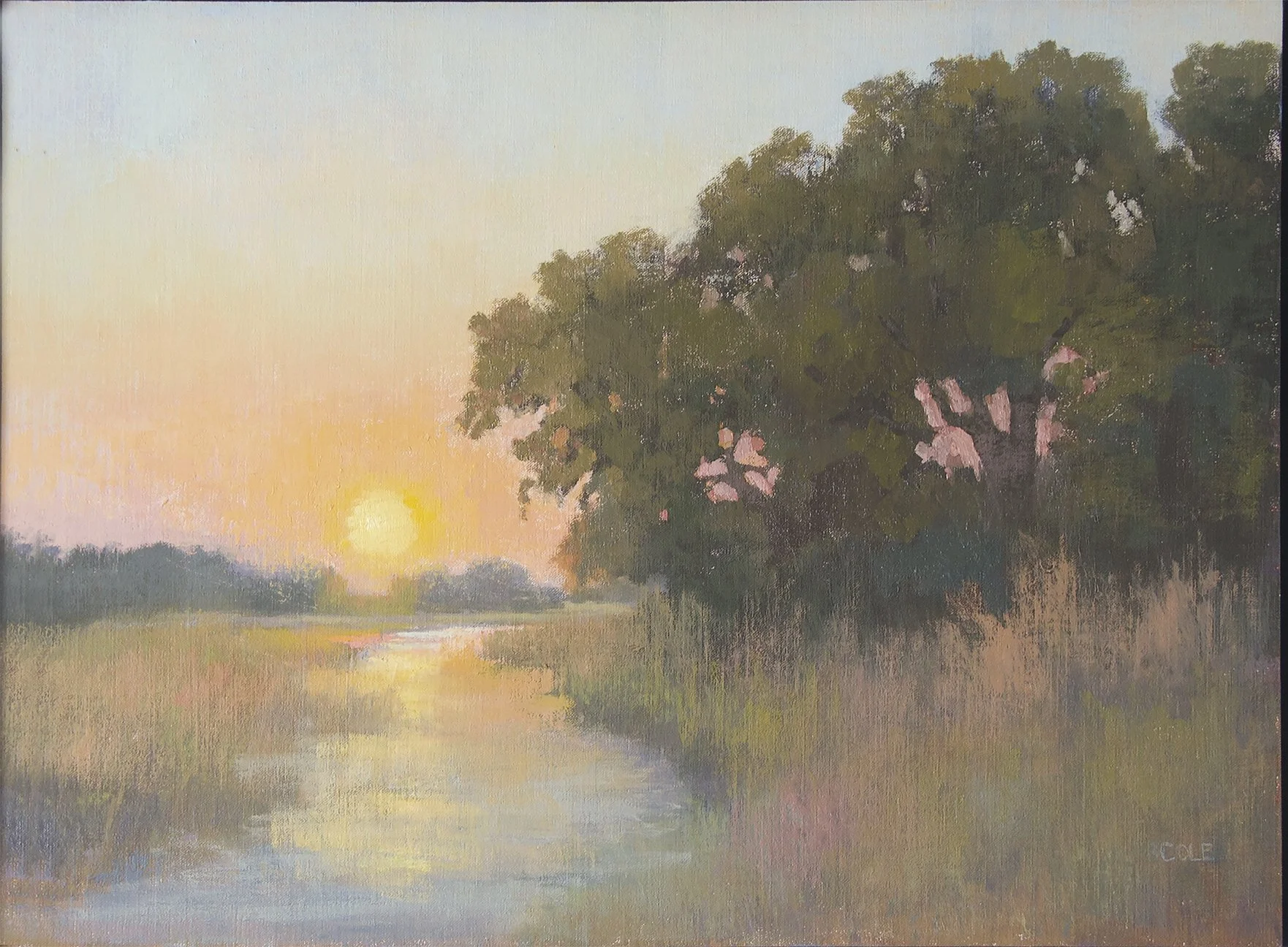 "Cottonwood Shine," Oil Painting Nebraska Cottonwoods