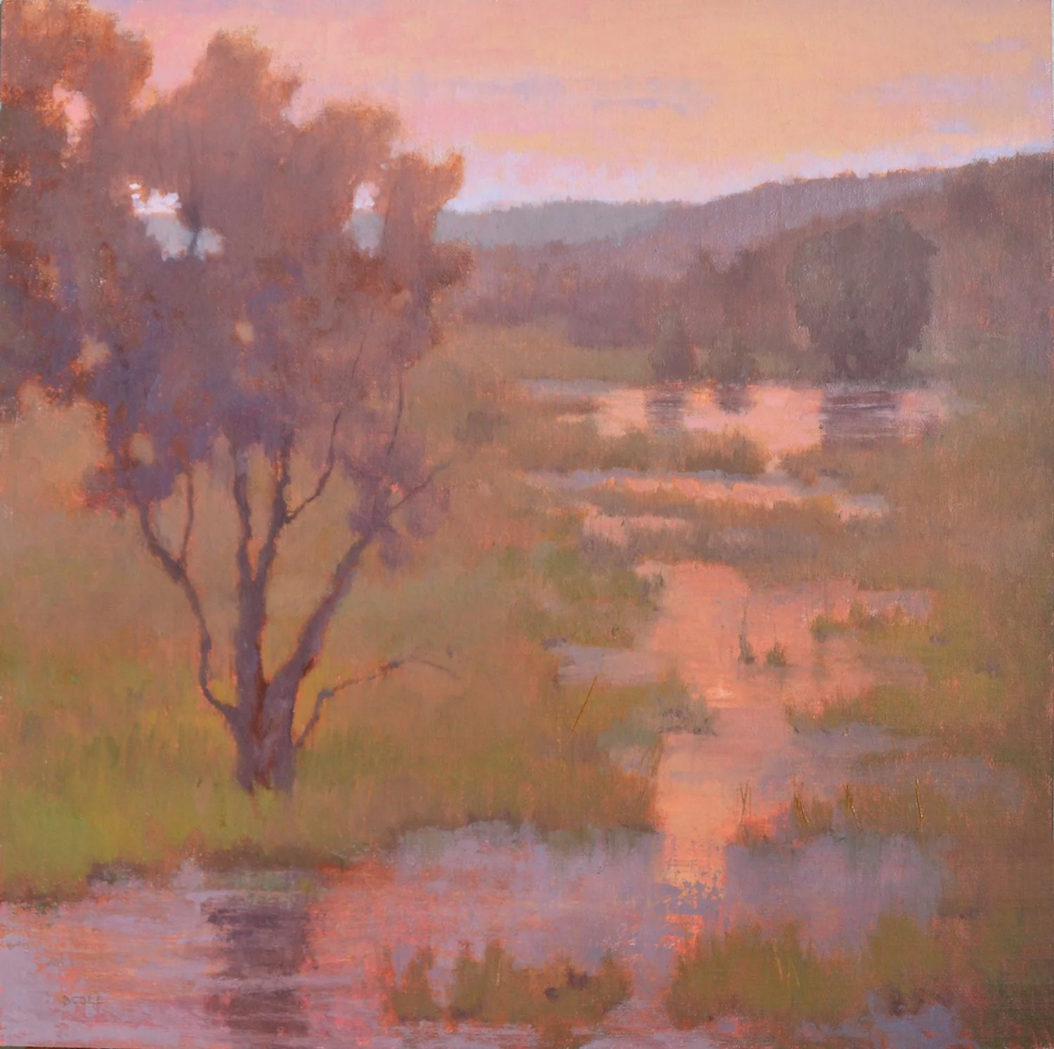 FloodedField-20x20.jpg