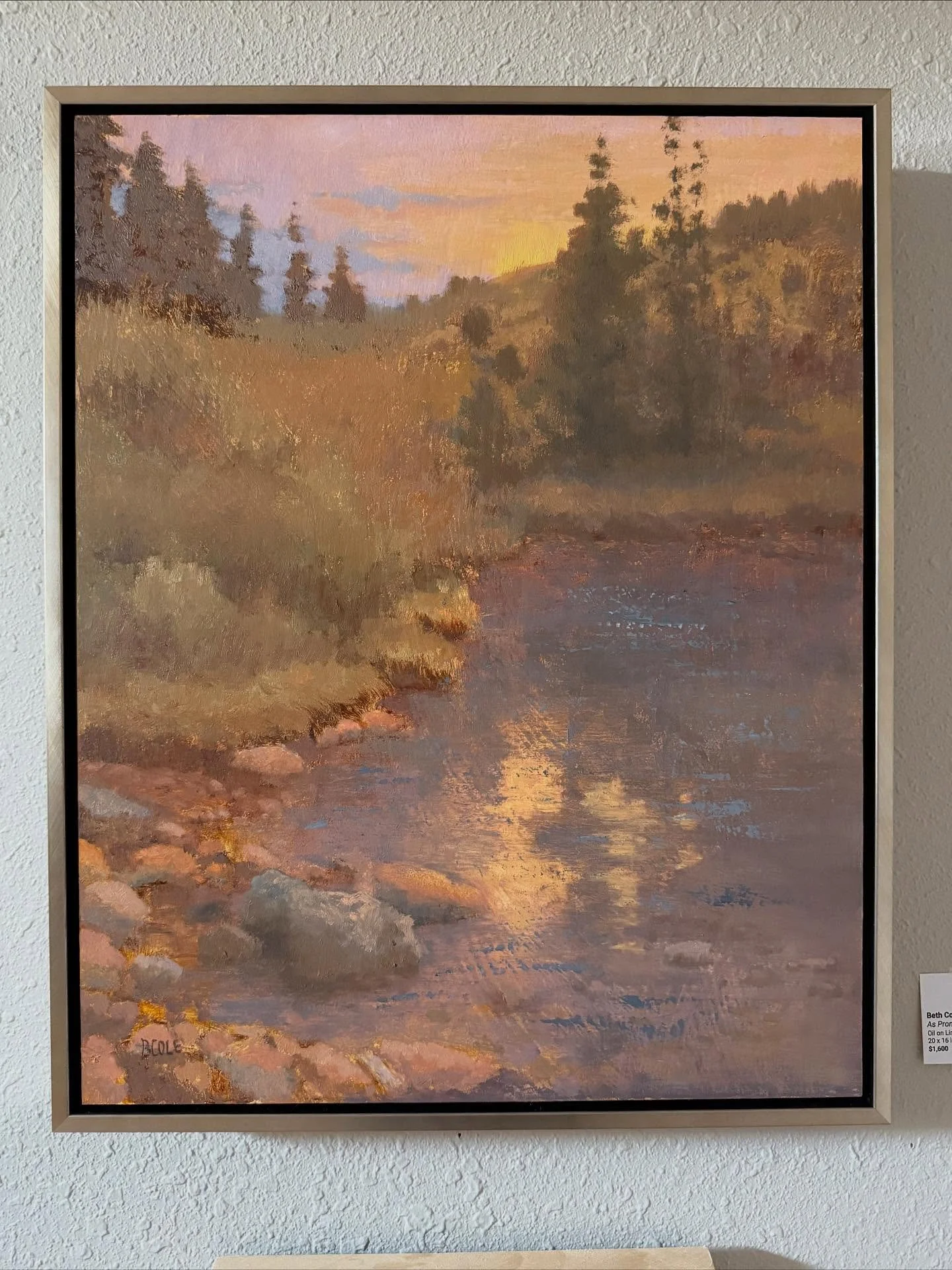 Hello to you. My online show at bethcoleart.com is open and has been very fun. Stop by and take a look. π Special pricing for subscribers expires Friday. 
A big thank you to all who came to my open house last weekend, those who have already chosen