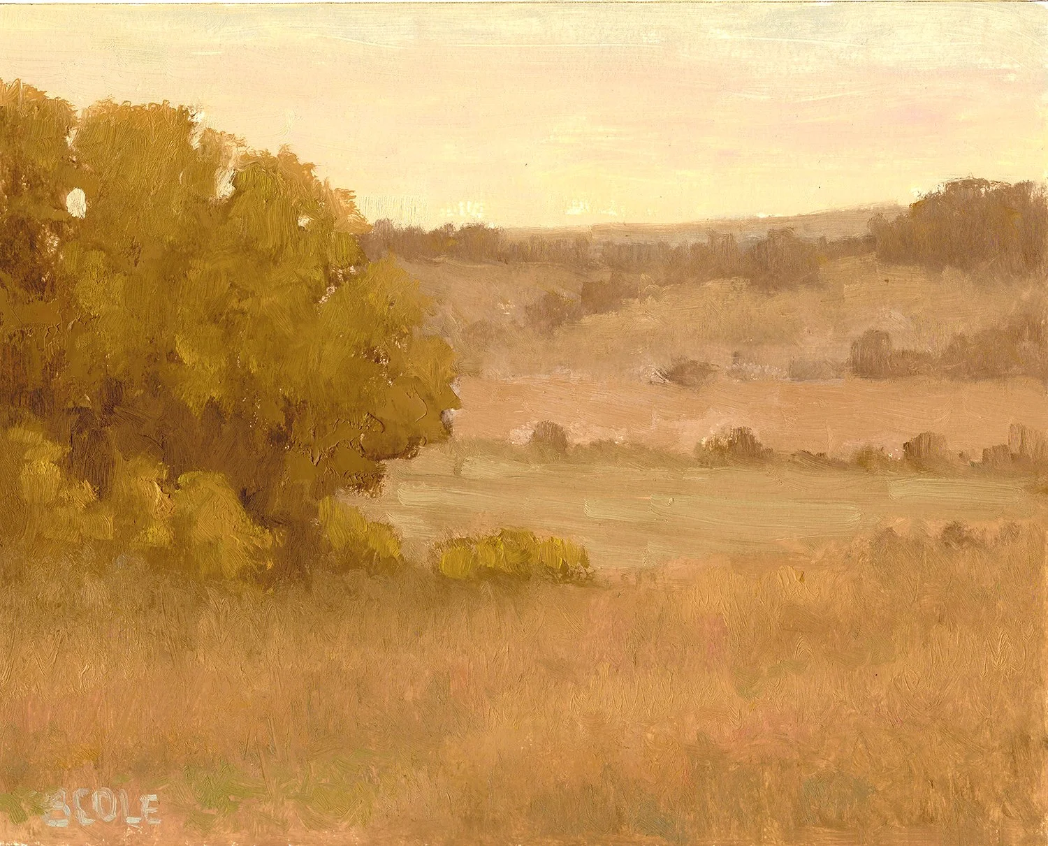 Print-FallField2-16x20.jpg