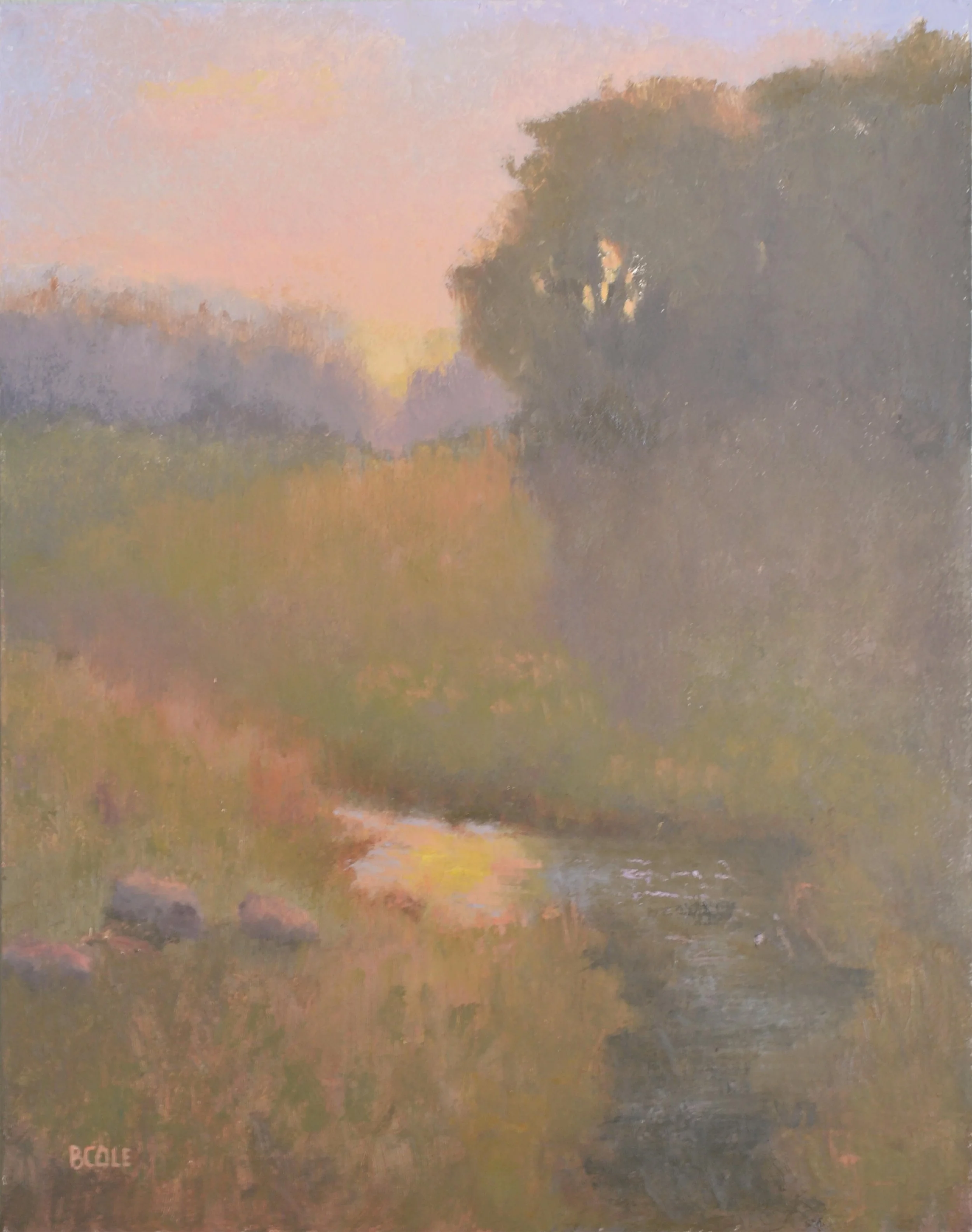 Subtleties-16x20.jpg
