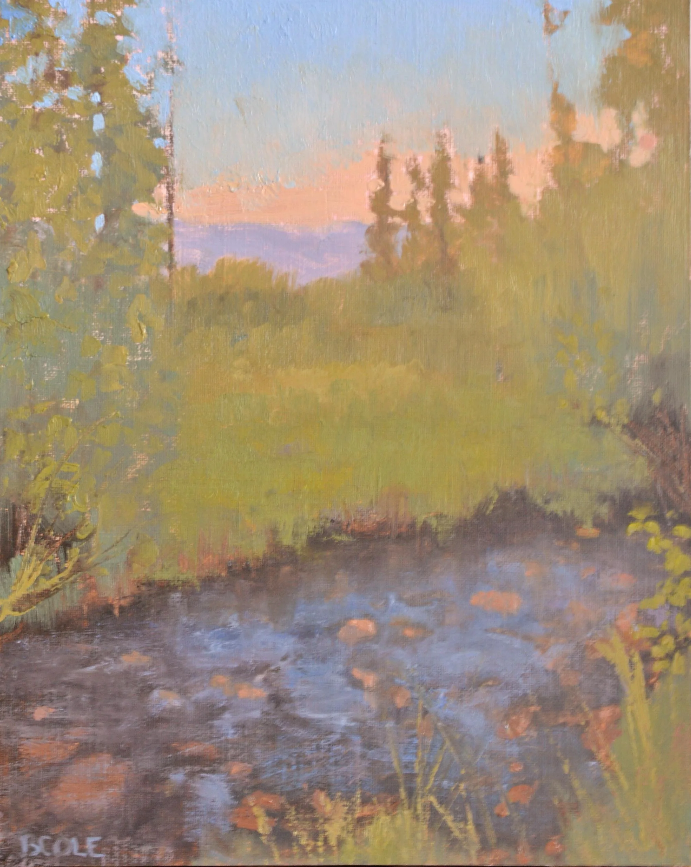 ApproachingDuskStudy-8x10.jpg