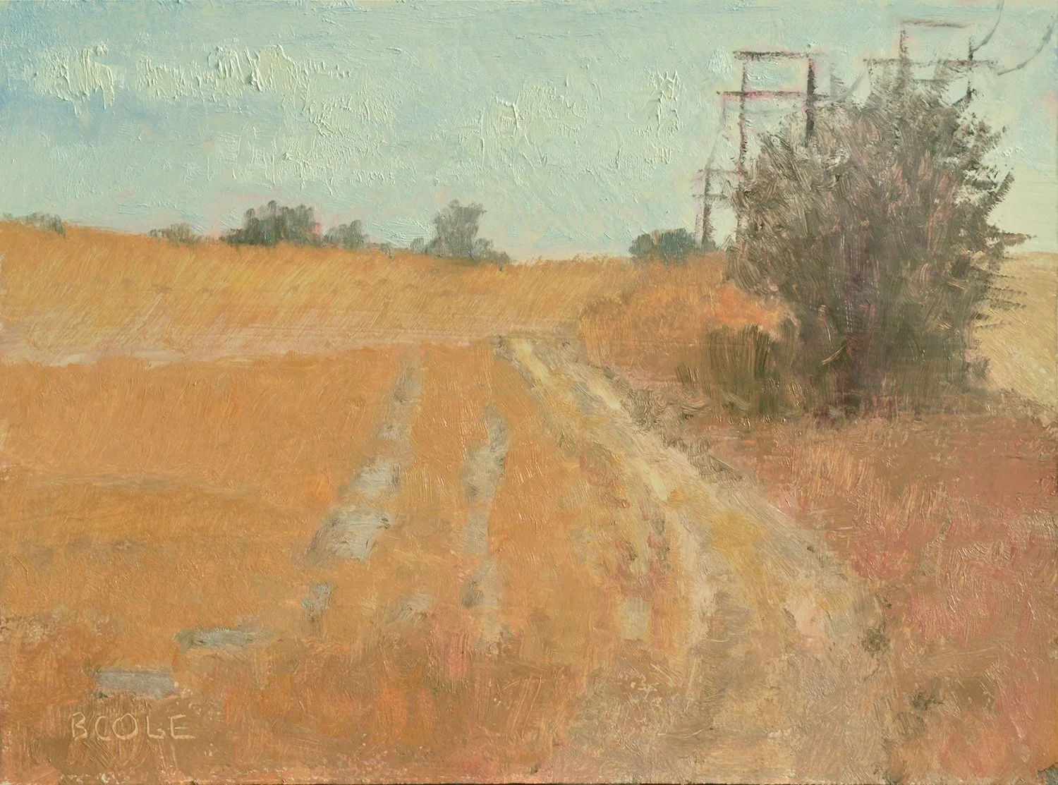 Tracks-9x12.jpg