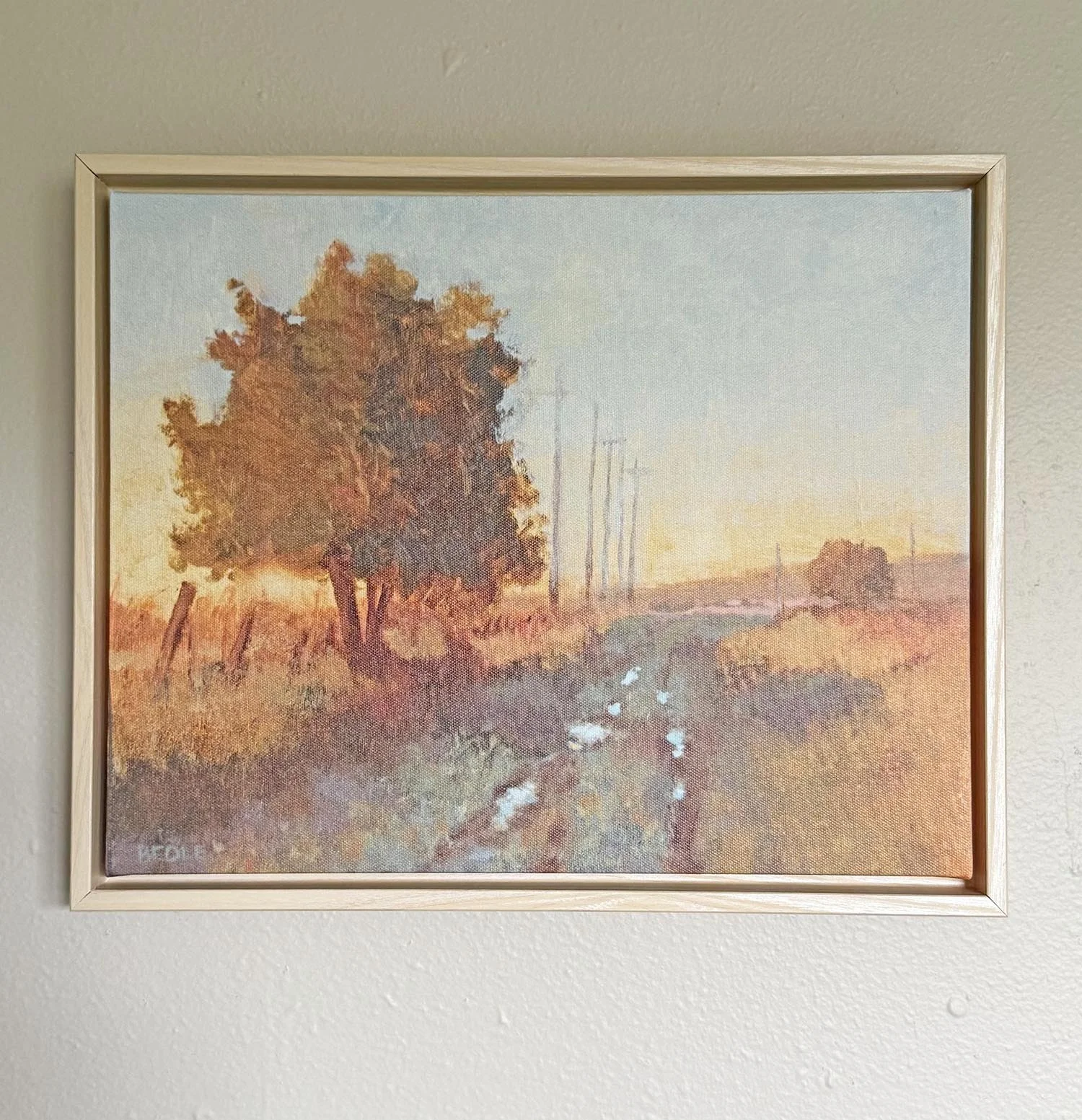 Pasture Shadows Limited Edition Fine Art Print - One of Ten