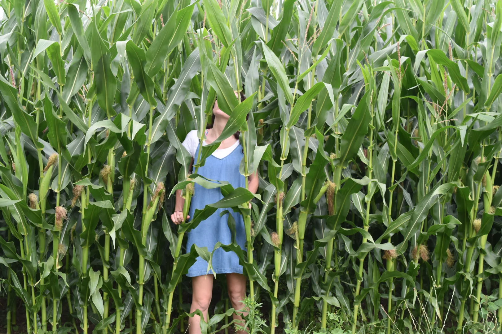 I was once too a daddy's girl