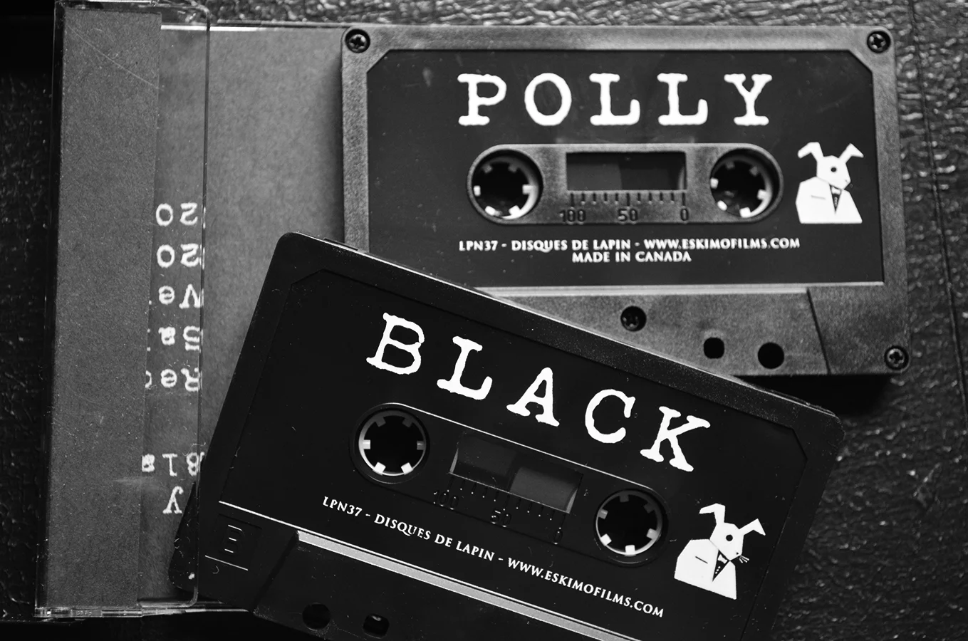 polly2.jpg