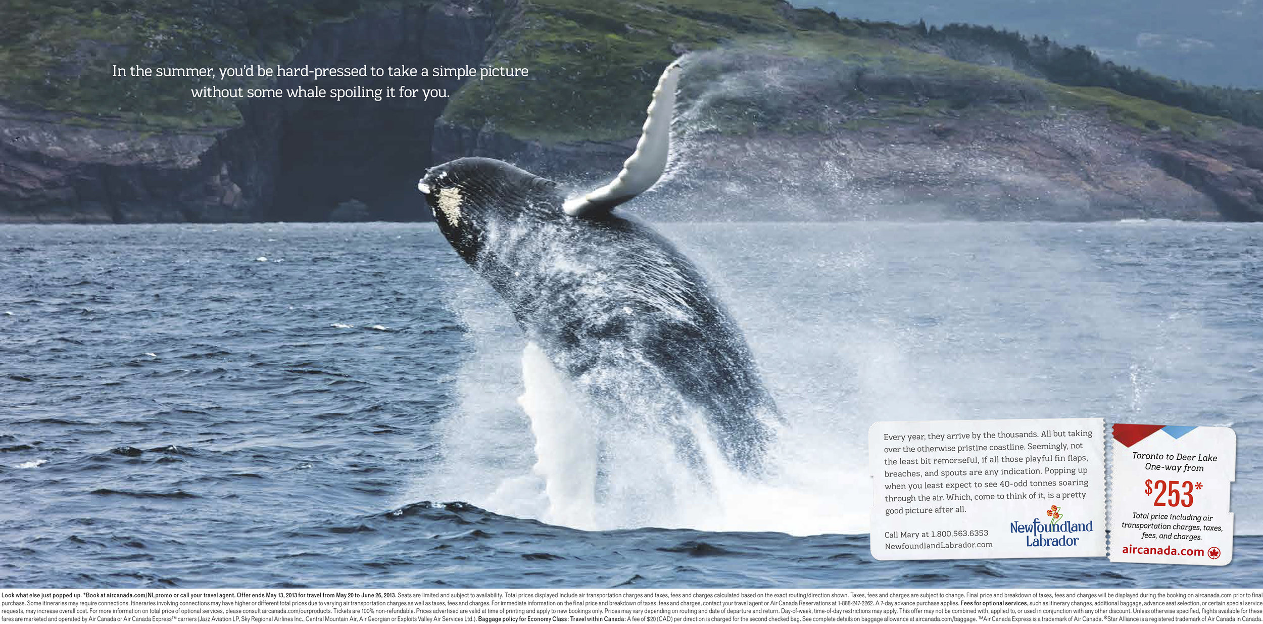 NLT2078-26-Whale.jpg