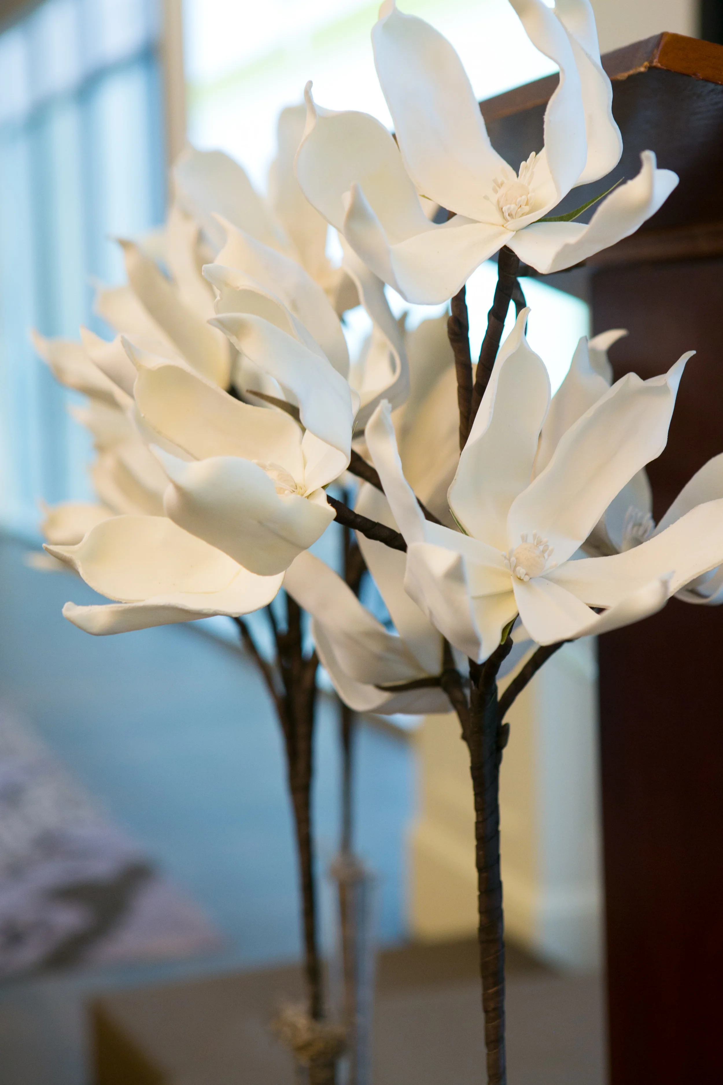 2015_OH_Gala_004.jpg