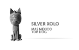 Premios/Awards
