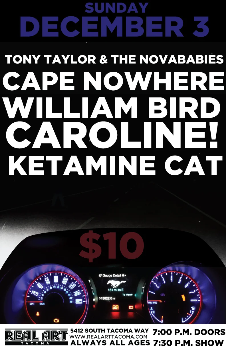 cape-nowhere.jpg