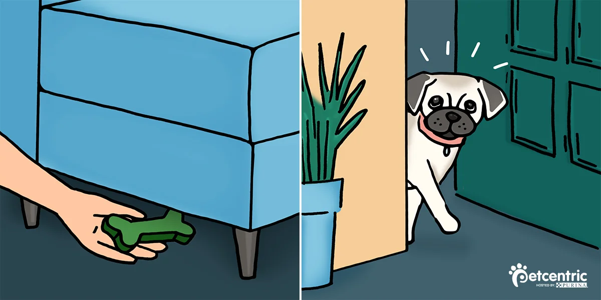 Hide-and-Go-Seek_Twitter.jpg