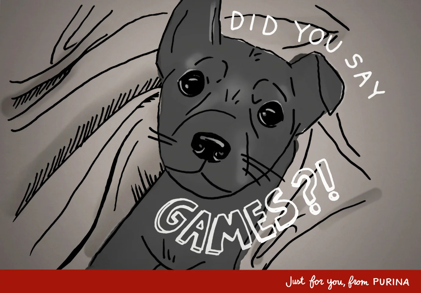 dog-tired.jpg