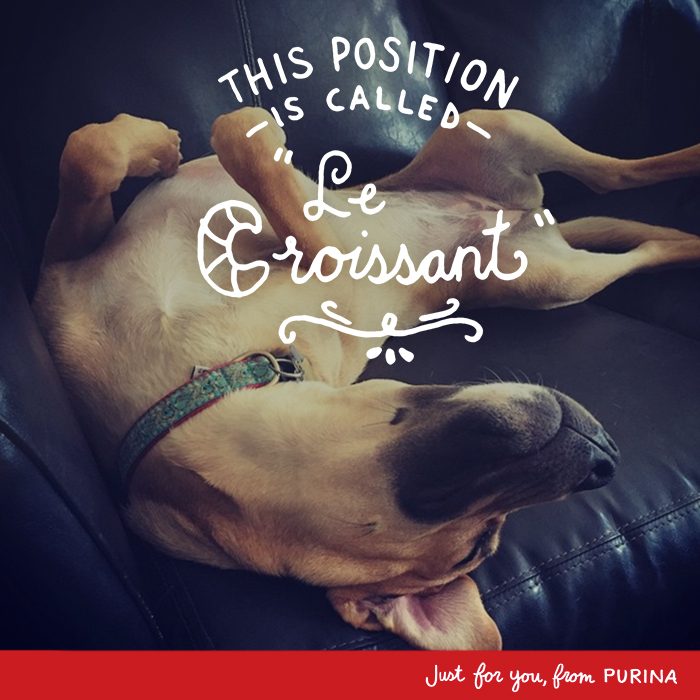 Le-Croissant.jpg