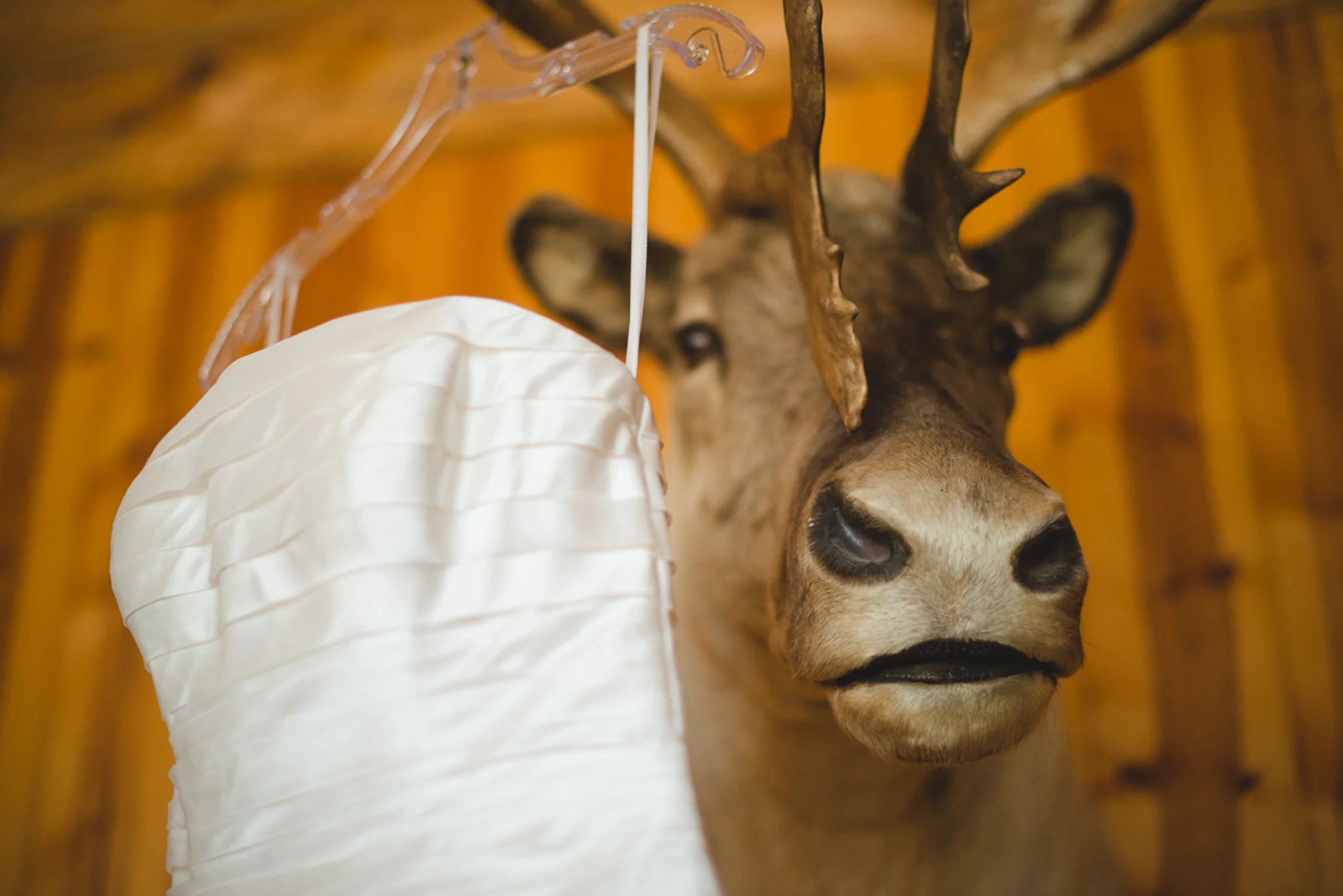 Destination Wedding Montana Weddings - Carrie Ann Photographer photography-195.jpg