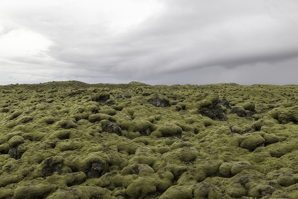 Lava_field1.jpg