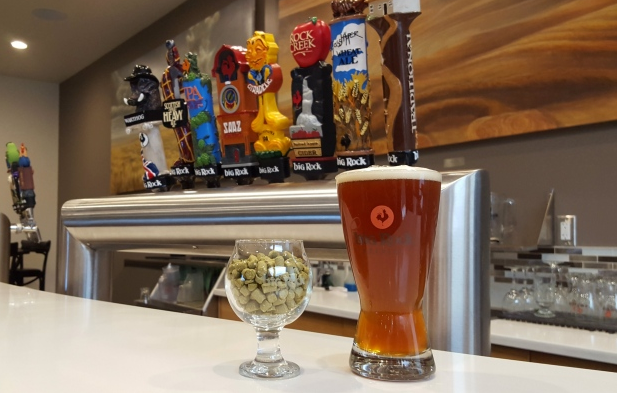 Citradelic is one of Big Rock's newest brews and it's the hoppiest one they've ever had flowing from their taps. (Sarah Lawrynuik/CBC)