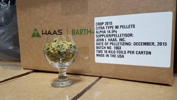 Citra is a type of hop that is a hot commodity at the moment, and it's the one found in Citradelic. Big Rock Breweries gets their Citra hops from the Yakima Valley in Washington. (Sarah Lawrynuik/CBC)